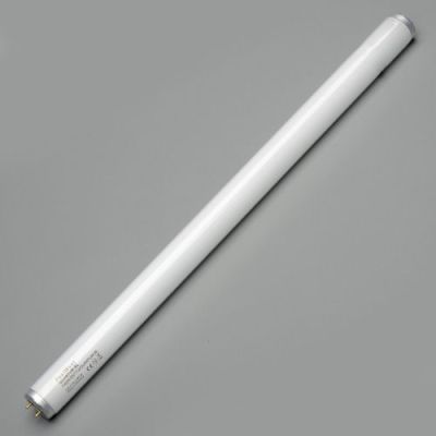 40w x 24″ T12 Quantum lamp