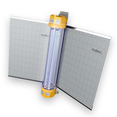 Chameleon EXG LED Fly Light