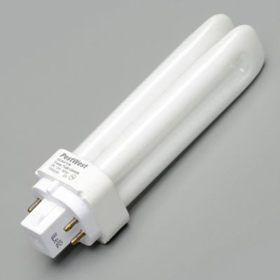 13w CFS Quantum 4 pin lamp