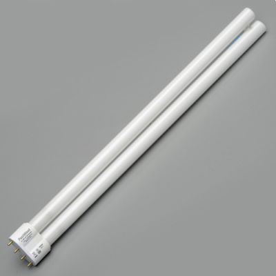 36w Plasma Quantum shatter resistant 4 pin lamp