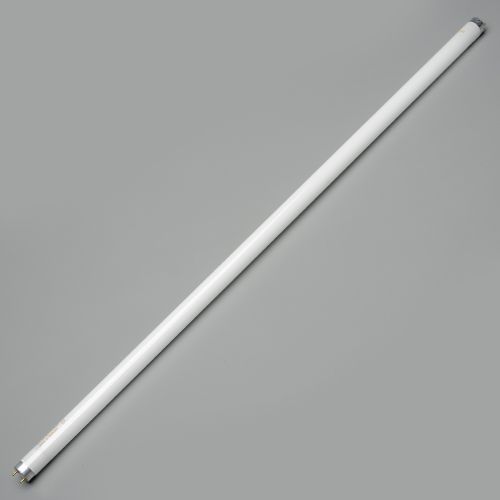40w x 48